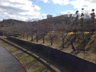 2014-03-03 13.42.25.jpg