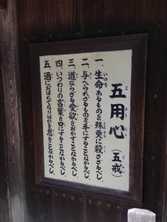 2014-03-04 11.21.37.jpg